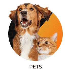 Pets